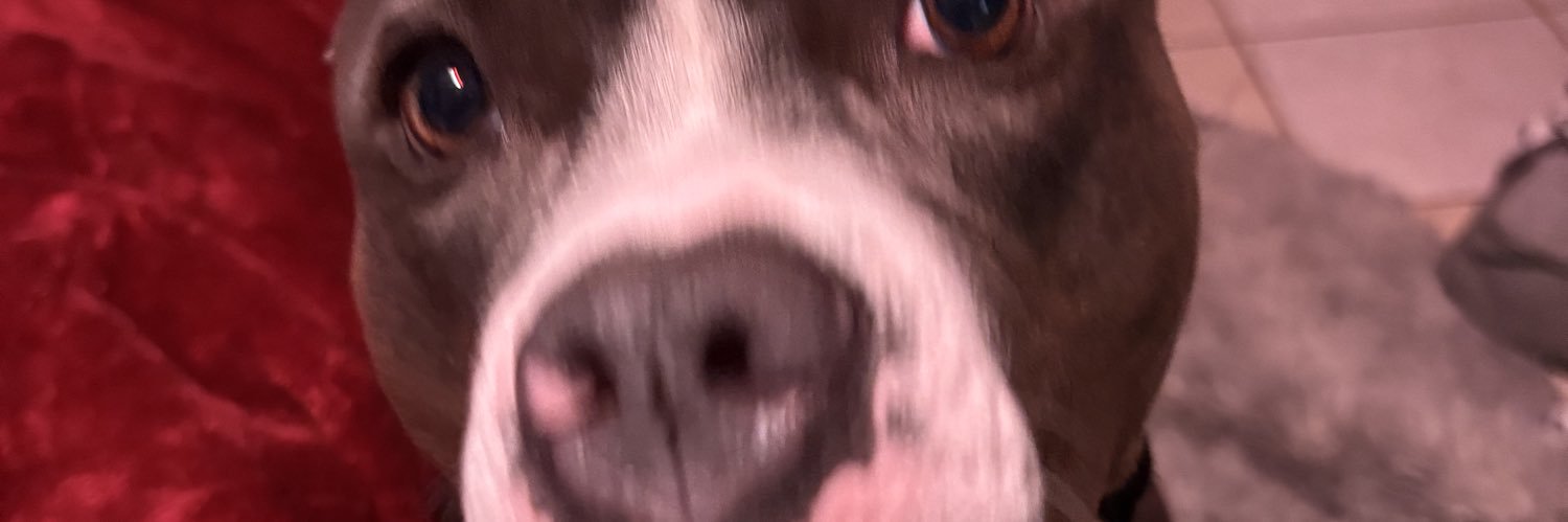 walt jimmy banner
