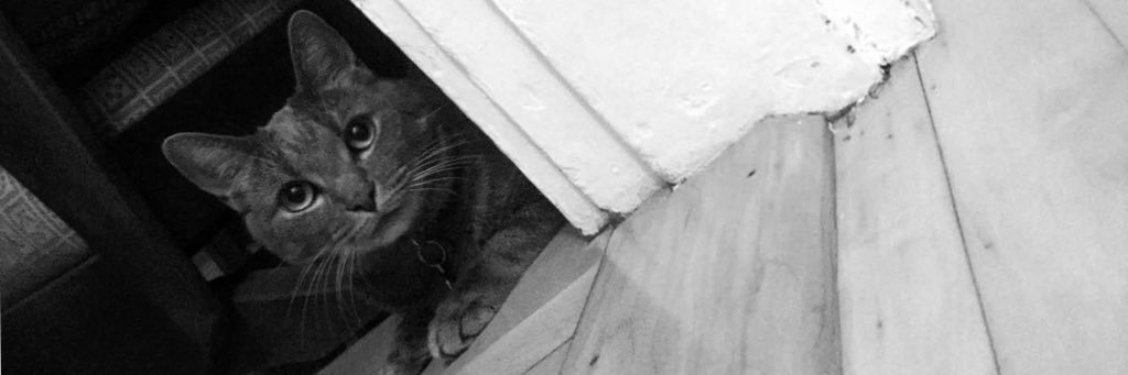 kbecker0915's profile banner image