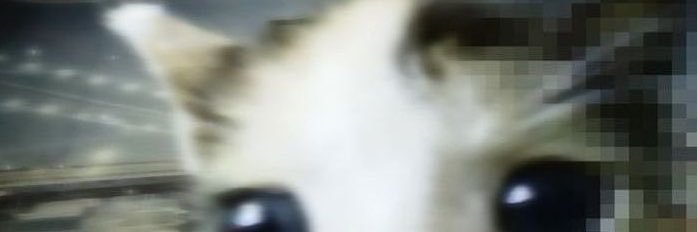 amuriope's profile banner image
