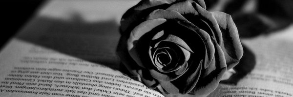 KealynReadsLP Profile Banner
