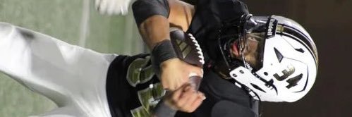 DRAYTON POUNCIL banner