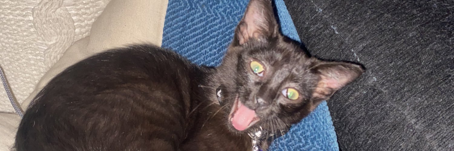 its_karissaaa's profile banner image