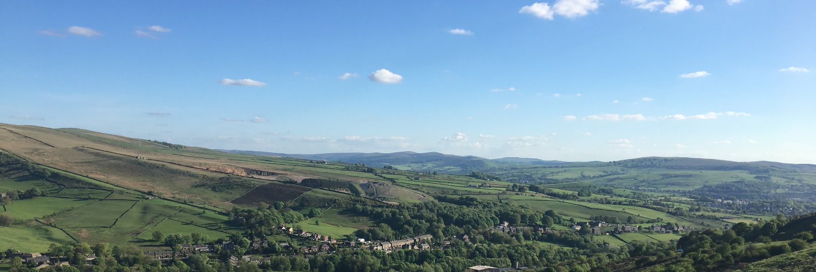 Daisy Jackson banner