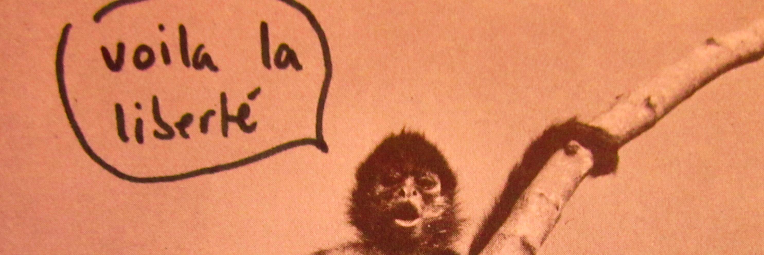 Letitia Despina banner