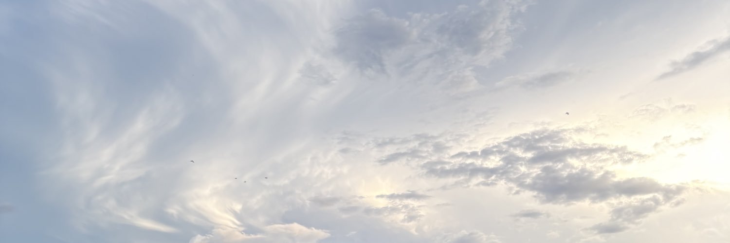 flewereruwu banner