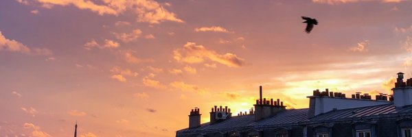 elizco Profile Banner