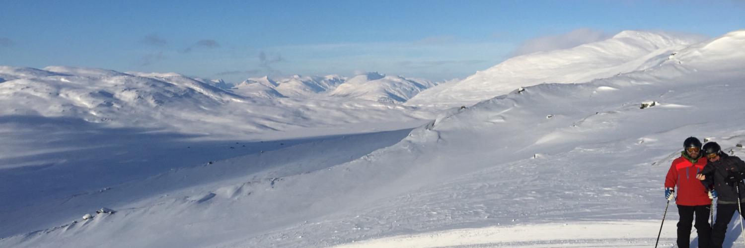 castberg's profile banner image