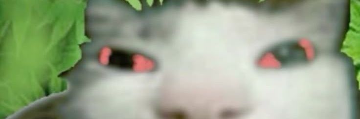 killy:))!! banner