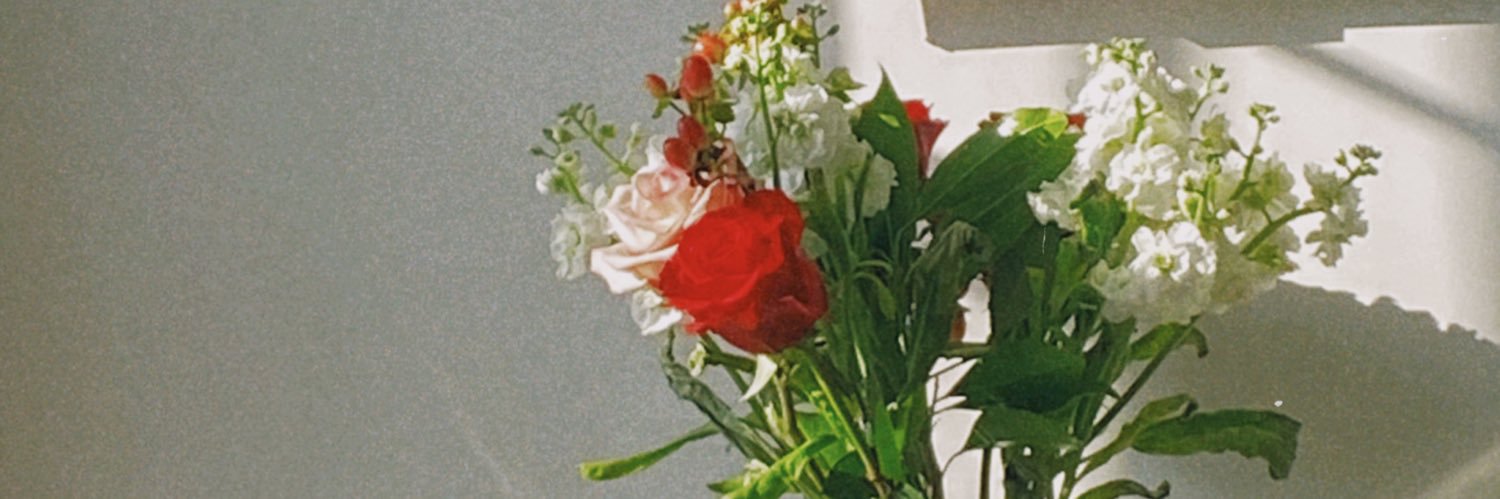 hitherehailee's profile banner image