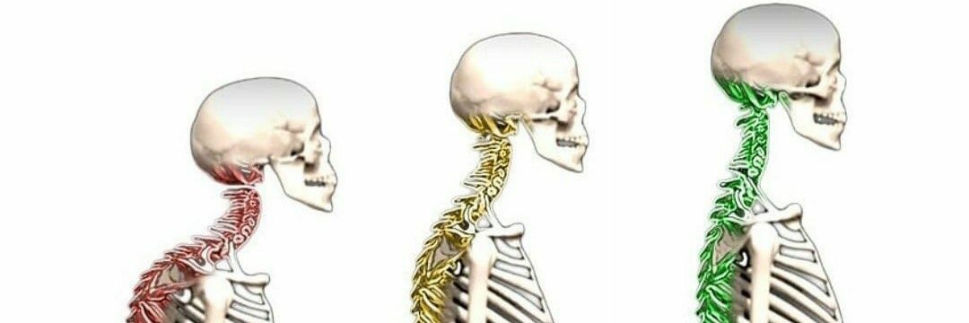 queropraxia's profile banner image