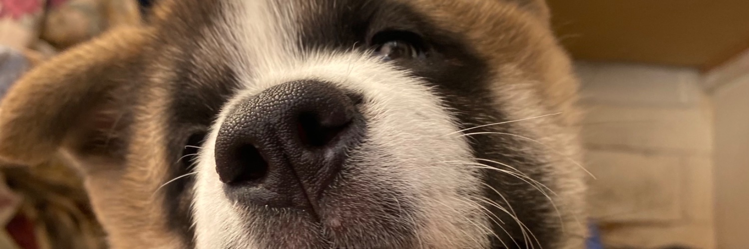 mbeeab's profile banner image