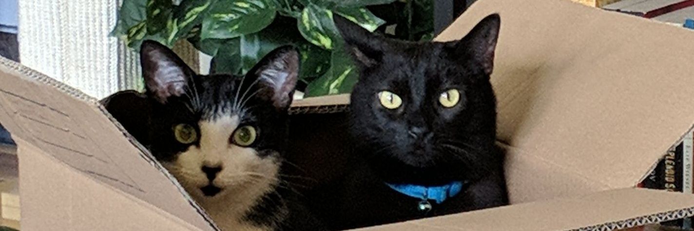 MirJRoethle's profile banner image