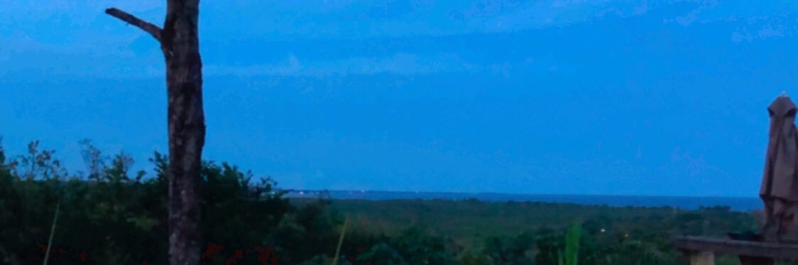 danimorum's profile banner image