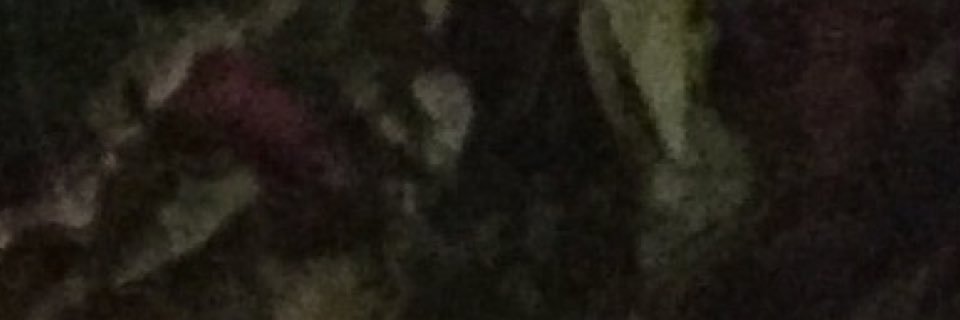 Tis banner