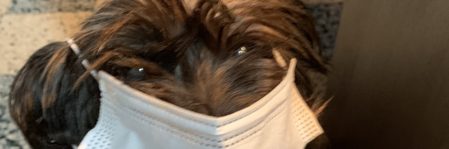 xTrashix's profile banner image