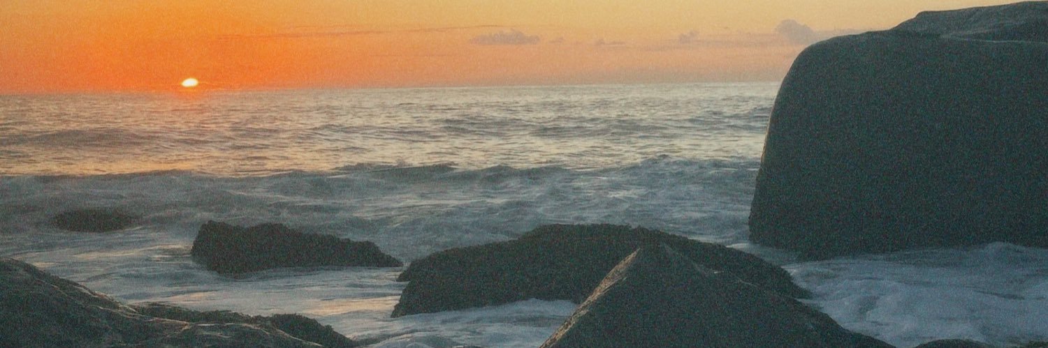 nic☀️ banner