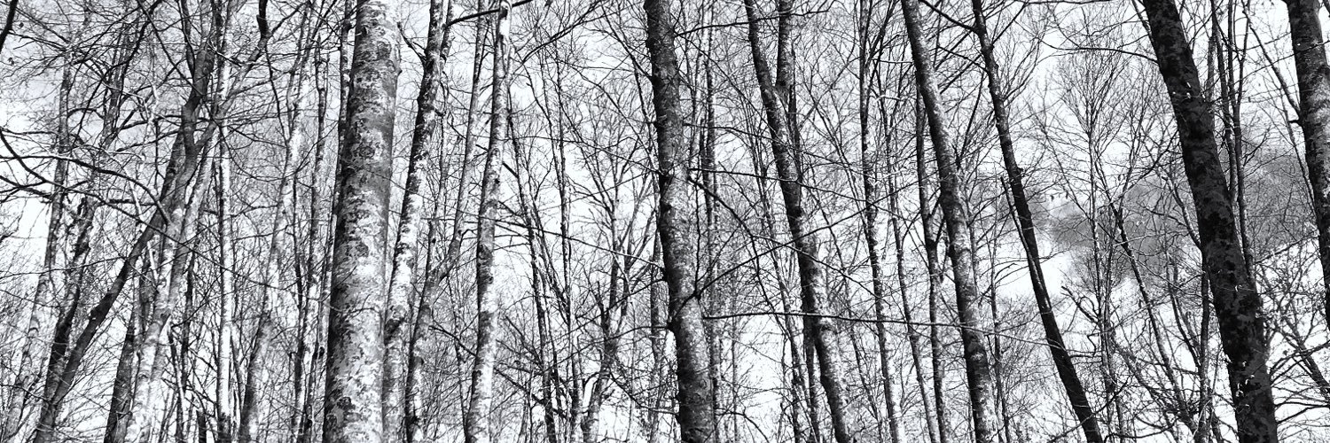 bcncherokee's profile banner image