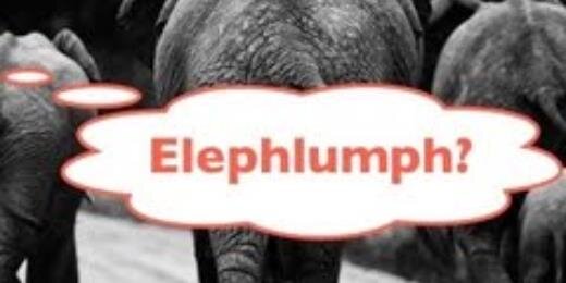 Elephlumph's profile banner image