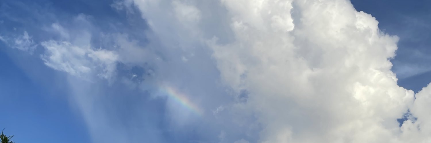 danielaarodela's profile banner image
