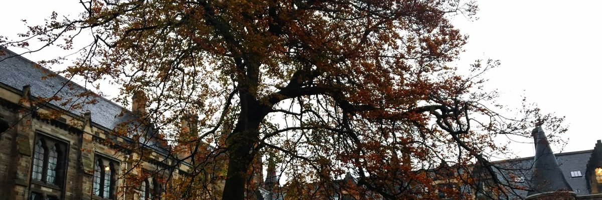 fazoollog000's profile banner image