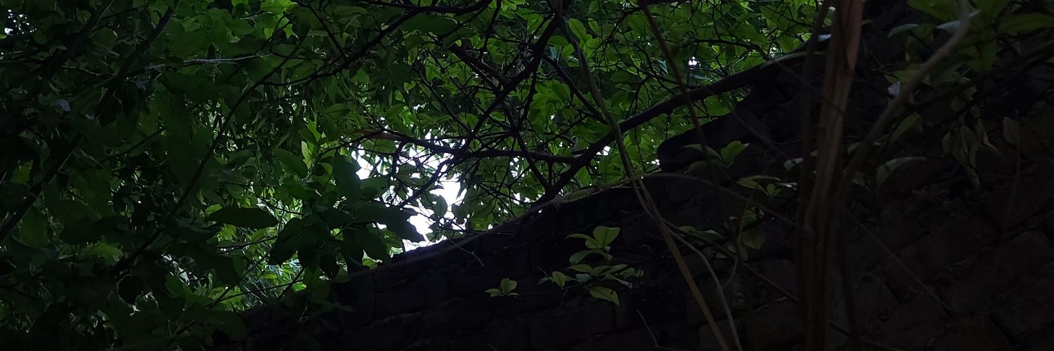 EPleasantly's profile banner image
