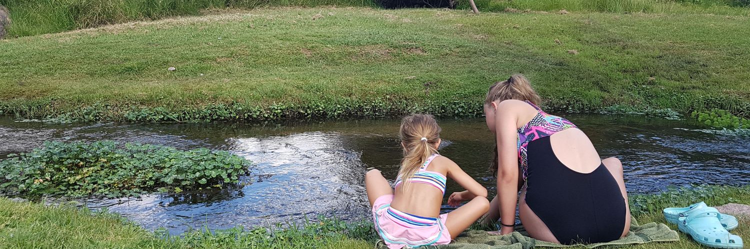 🌼🌸Lizi Mor🌸🌼 banner