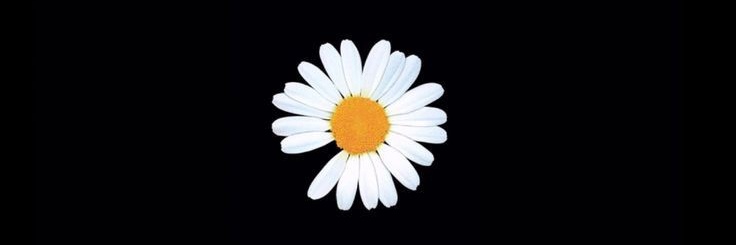 Amiroo6i's profile banner image