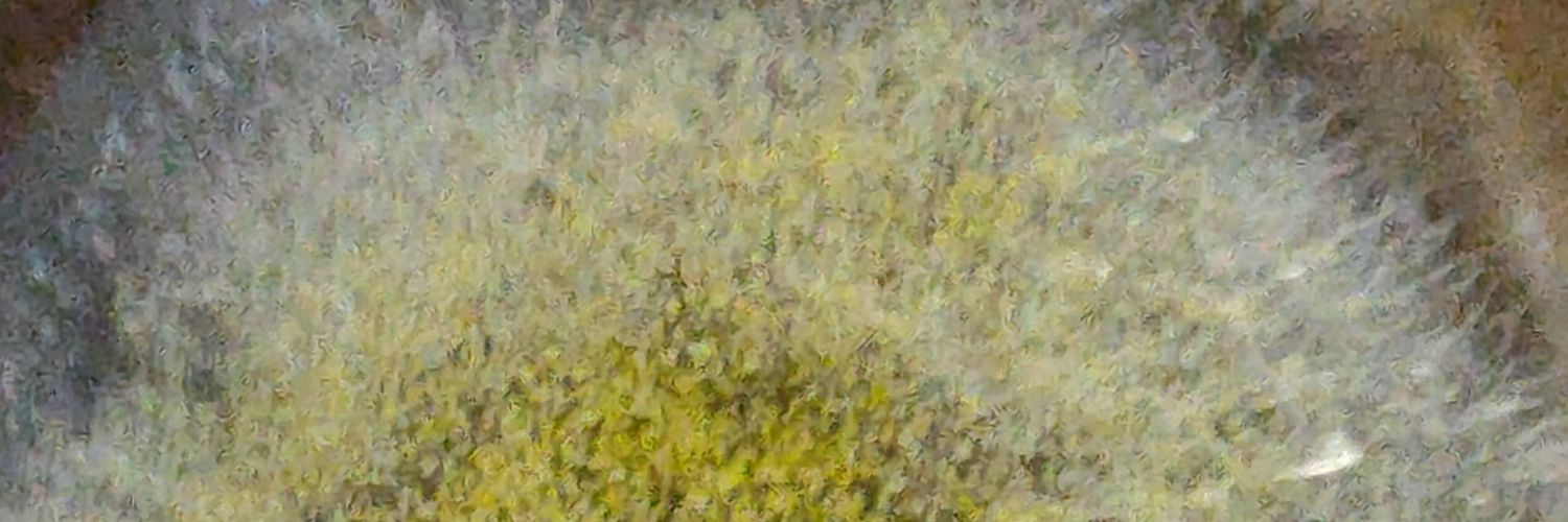 q5w54o's profile banner image