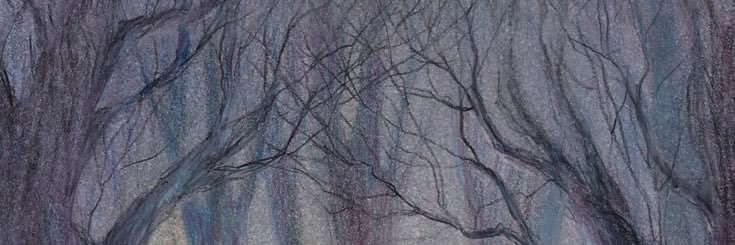 lisawilbourn's profile banner image