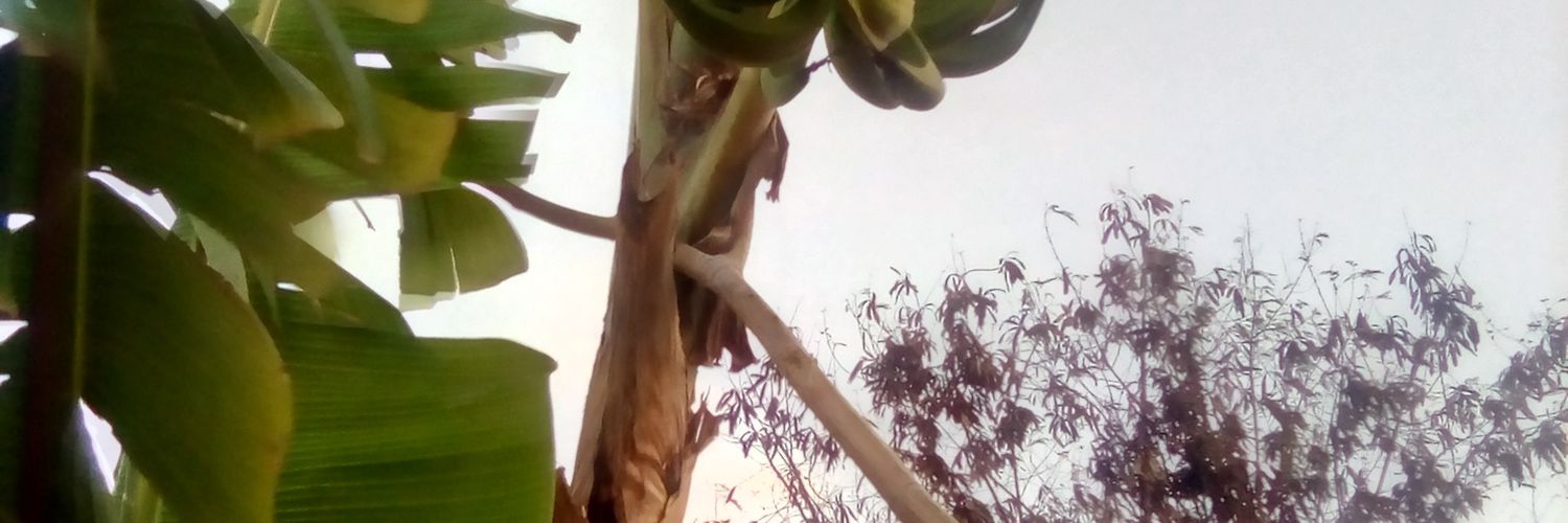ThabitAdam2's profile banner image