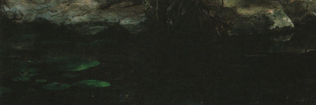 Dylan's banner