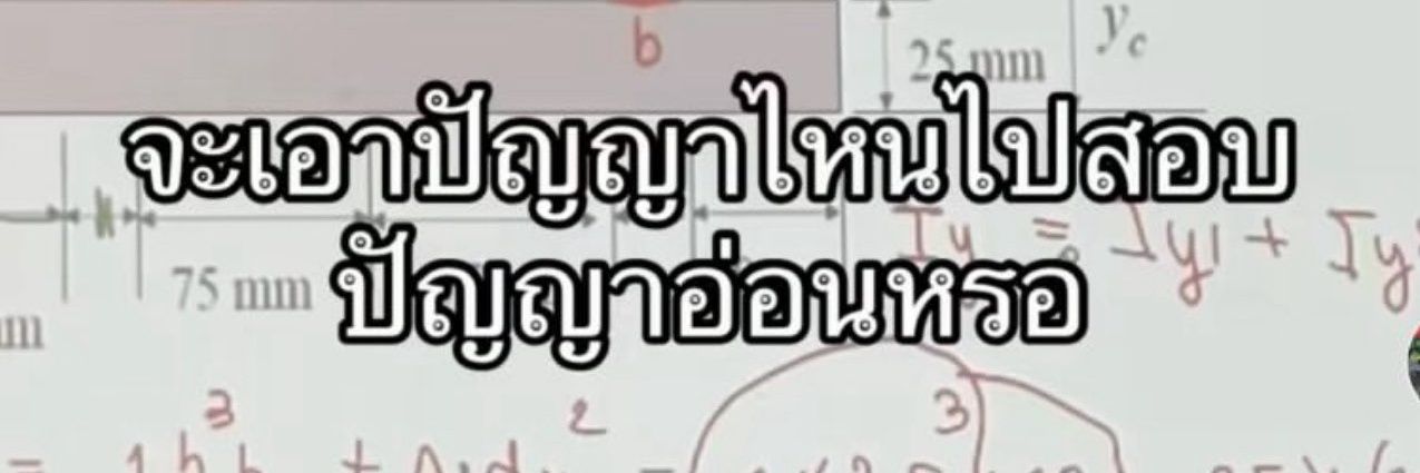 กบเขียว banner