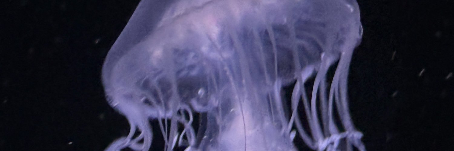 h4rmless_'s profile banner image