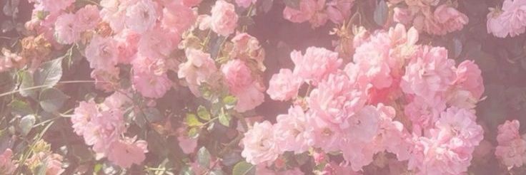 ً•~• banner