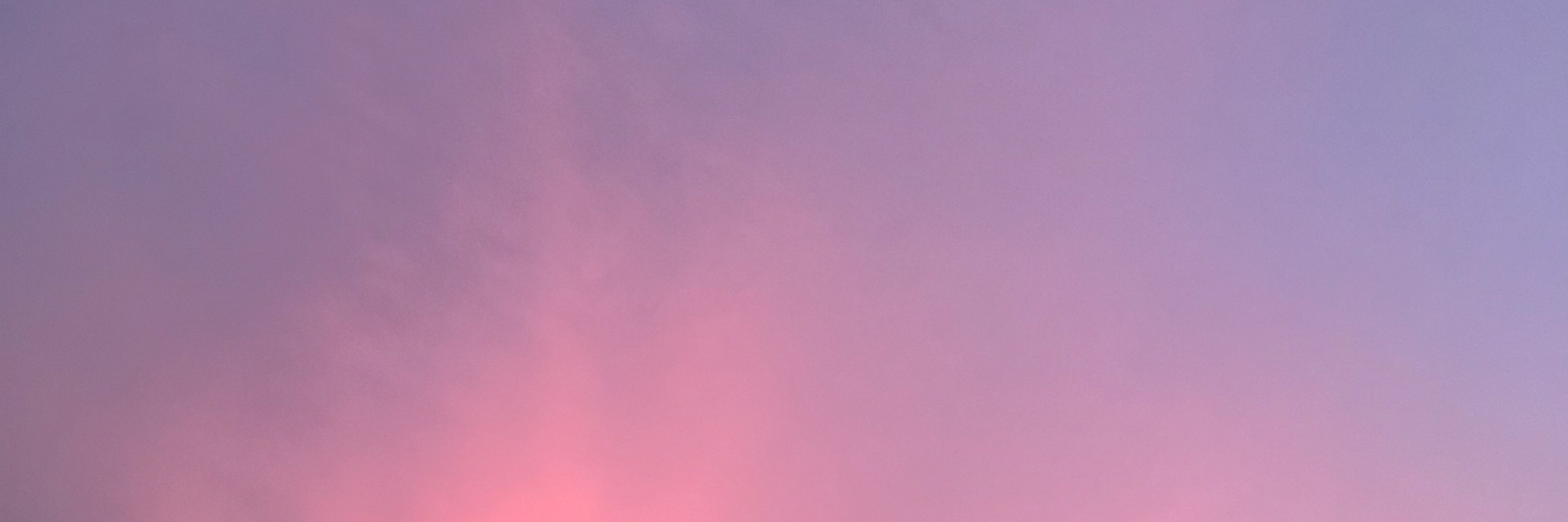 LISAKARMA 🦋's banner