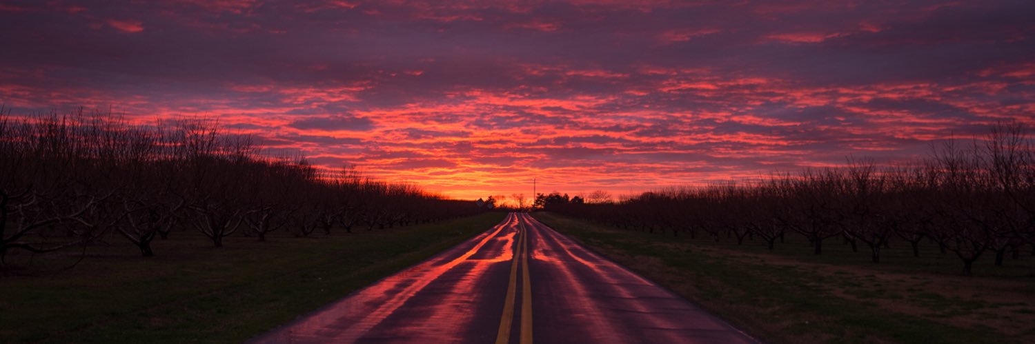 jasonmintophoto's profile banner image