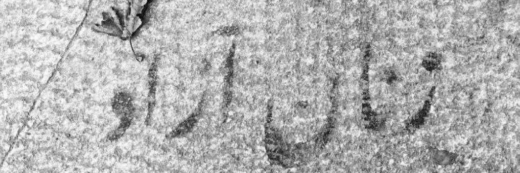 D banner