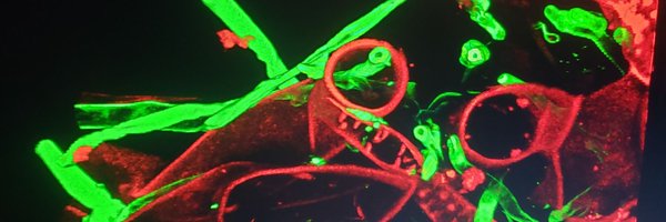 Madeleine_B_31 Profile Banner