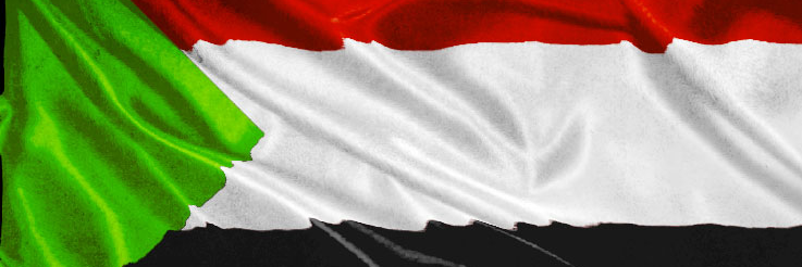 amaadham's profile banner image
