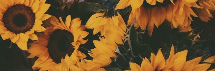 kitkat_katie3's profile banner image