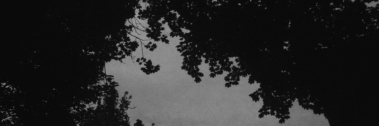 TheFrozenNorth's profile banner image