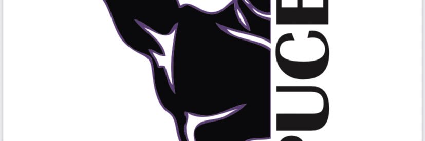 PUCELA BOXING banner