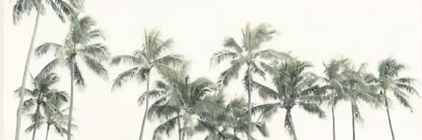 KojakMS's profile banner image