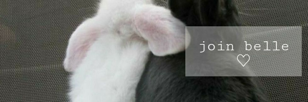 belle ♡ banner