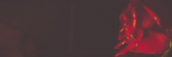 averyxcarter Profile Banner