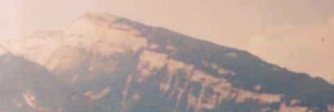 ʟᴀᴠᴇɴᴅᴇʀ ~ ᴡᴀ/ᴛᴇʟᴇ,ᴅᴍ ᴇʀʀᴏʀ banner