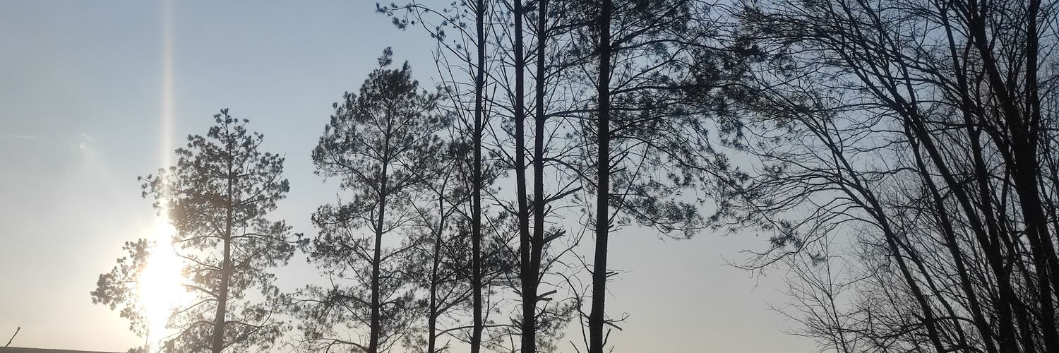 mszaSw's profile banner image