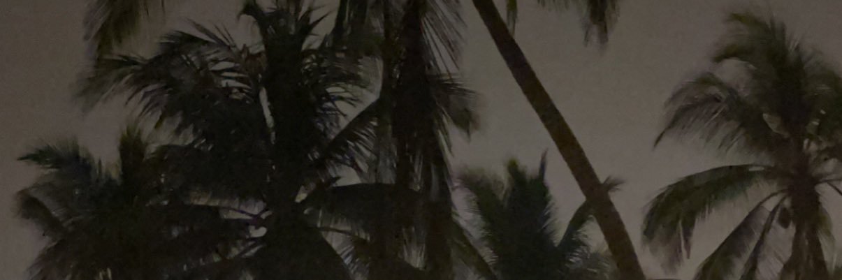 AlMask07's profile banner image