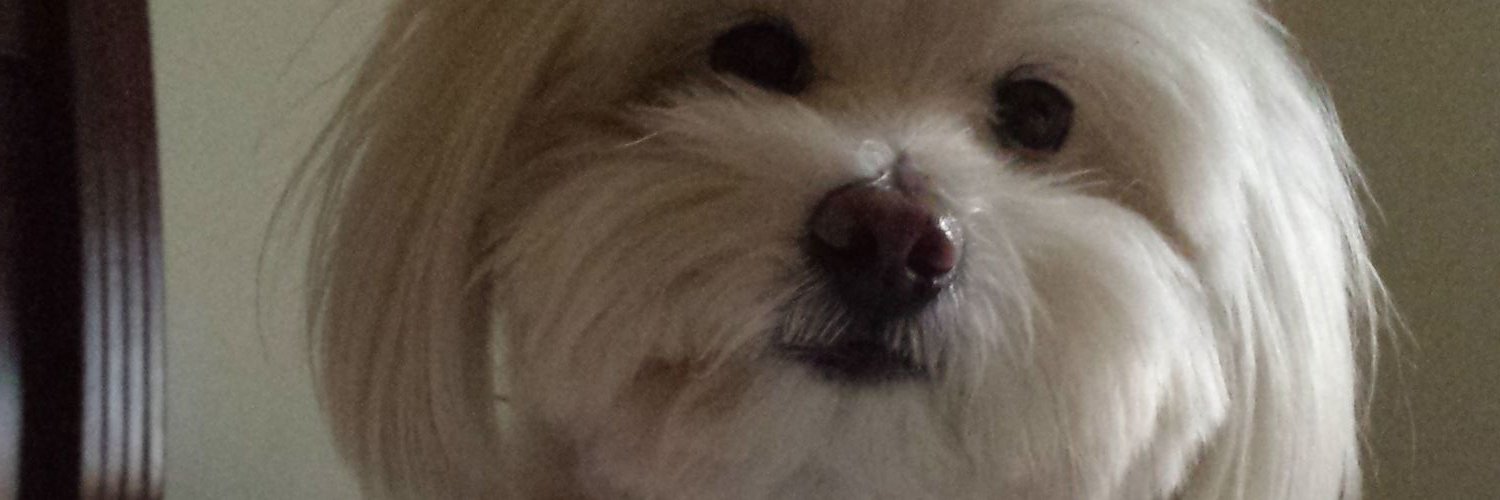 Feidhluess's profile banner image