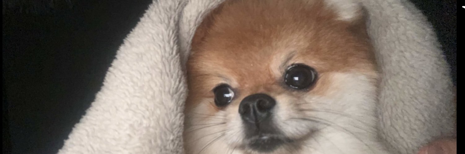 SlimanSarah's profile banner image